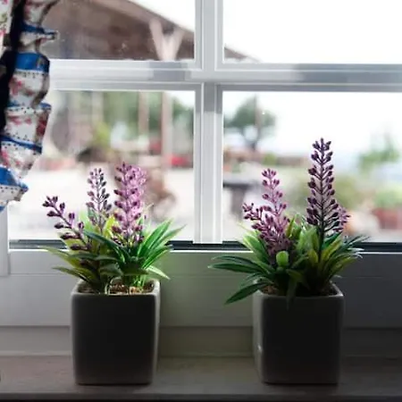 Casas Da Gralha Bed and Breakfast Turquel