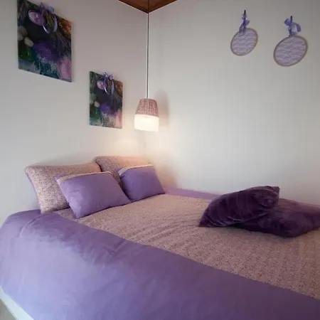B&B Casas Da Gralha