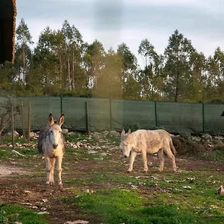 Bed and Breakfast Casas Da Gralha 3*