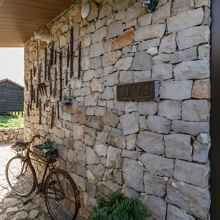 Bed and Breakfast Casas Da Gralha 3*